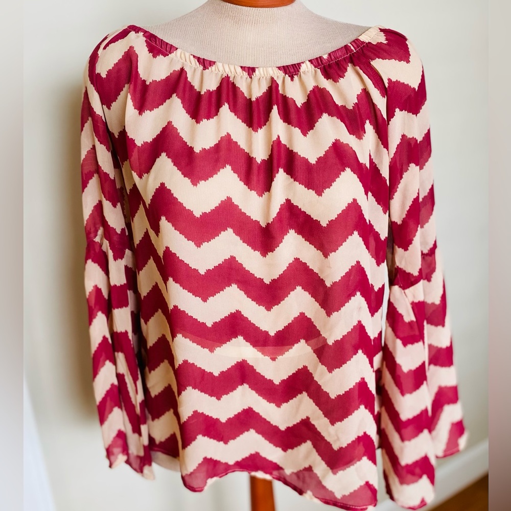 ⚜️Beautiful Women’s Sheer Blouse⚜️